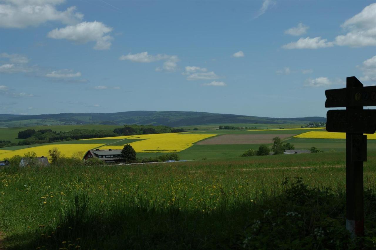 Klein'S Hochwaldscheune Pellingen Kültér fotó